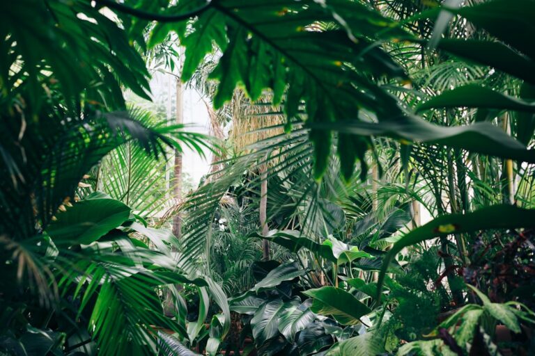 The Best Indoor Plants for Your Home Environment