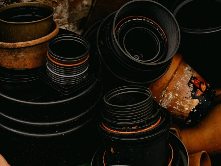 Essential Gardening Tools Every Beginner Should Have
