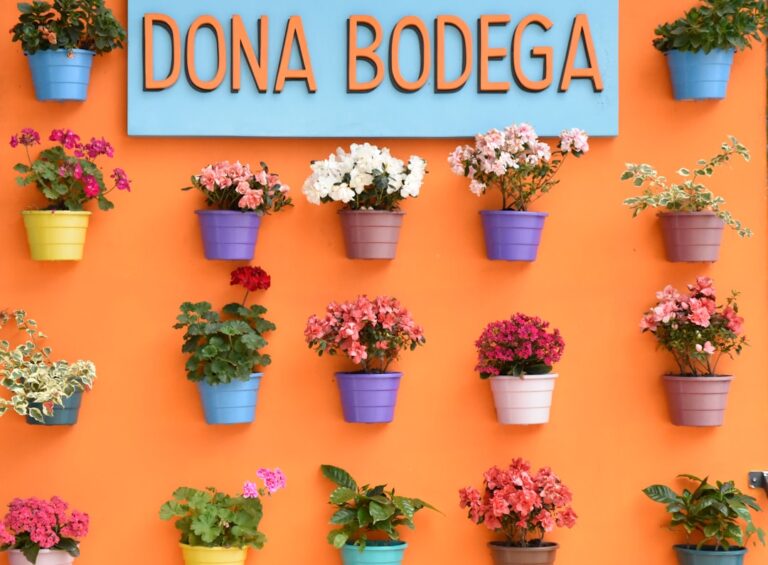 Creative Ideas for Vertical Gardening in Limited Areas
