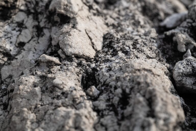 Understanding Soil Types and Their Importance in Gardening